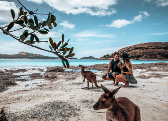 Esperance Beach Kangaroo