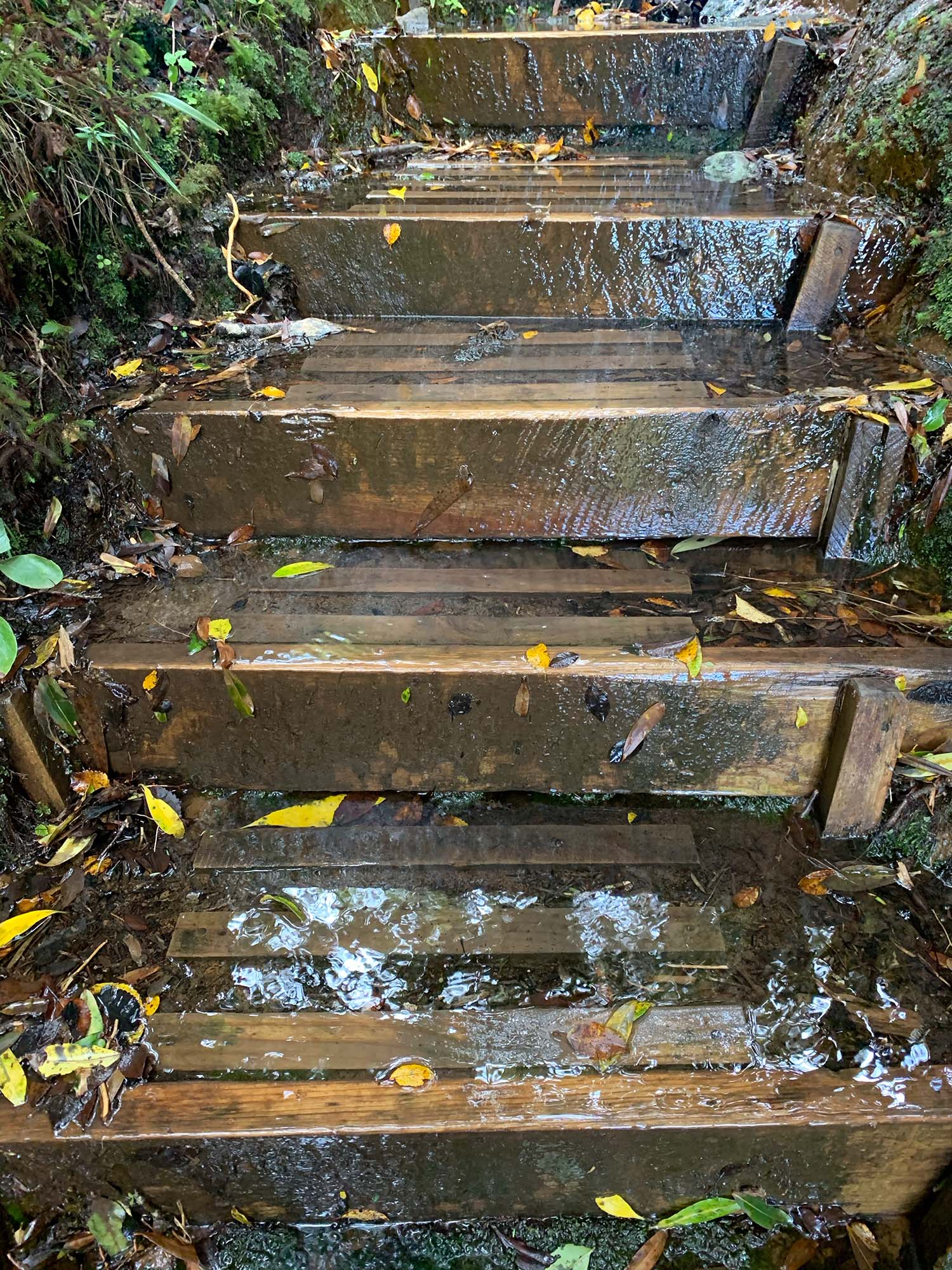 mount taranaki hike stairs