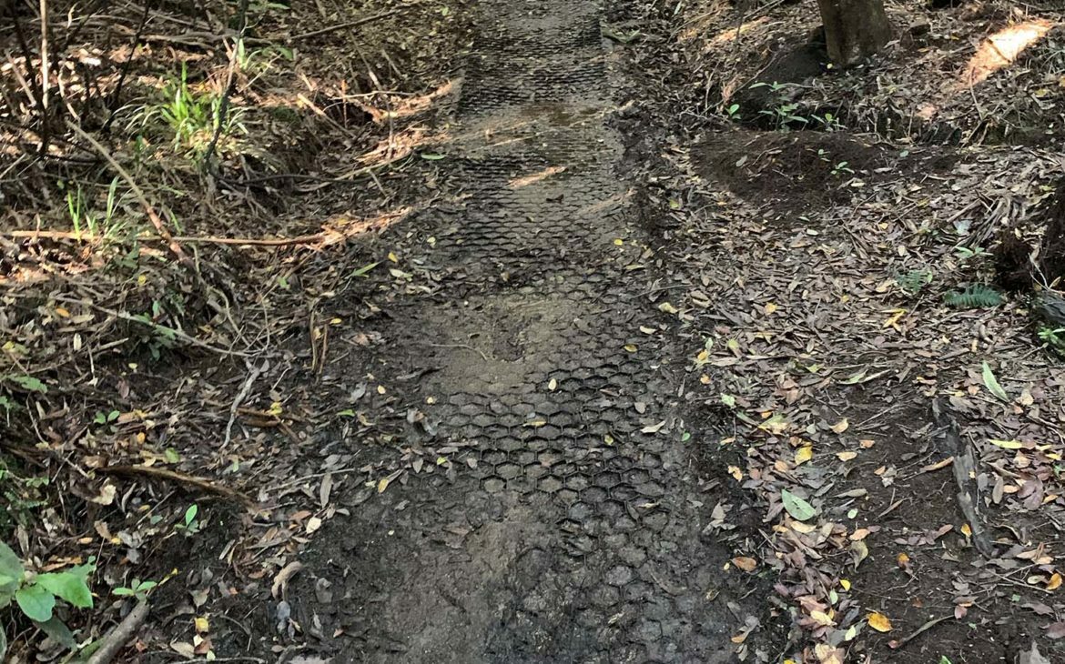 mount taranaki path 1170x730 1
